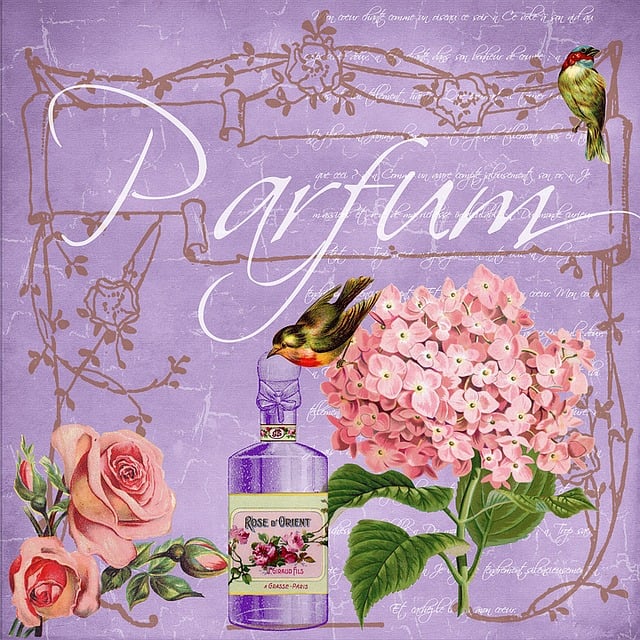 De reis van parfum: van historische oorsprong tot productieproces, diverse geurtypes en psychologische invloed